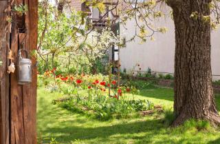 Mango Rooms - Brasov - 8