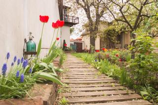Mango Rooms - Brasov - 5
