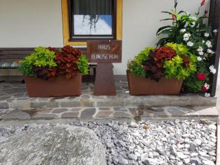 Privatzimmer Bundschuh - Amlach - 6