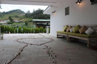 Tung's Factoria Cameron Highland - 8