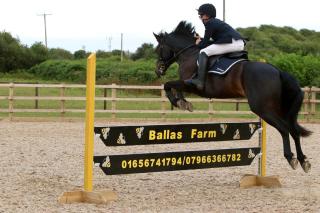 Ballas Farm Country Guest House - Bridgend - 6