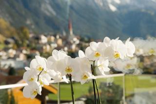 Pension Angelika - Pettneu am Arlberg - 8