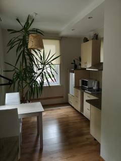 Jaukus butas Šiaulių miesto centre - Šiauliai - 8