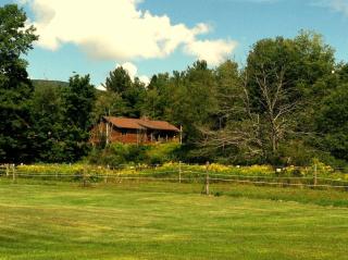 Colgate Lake Lodge - East Jewett - 4