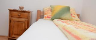 Guesthouse Vila Natalija - Gornja Trepča - 9