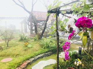 Homestay Discovery Sapa - Sapa - 6