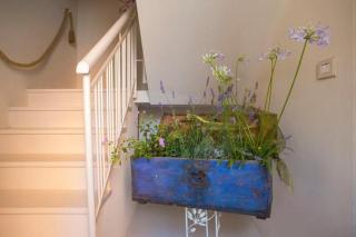 A Casa di LoLu - Grottammare - 5