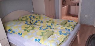 David Apartman - Gyula - 1