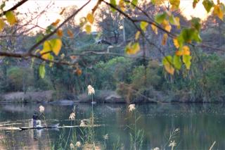 Divundu Guest House - 1