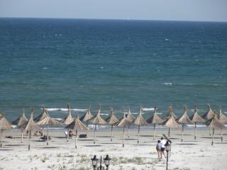 Masha - Mamaia Nord – Năvodari - 0