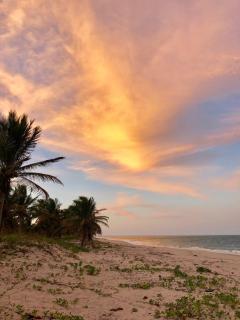 Pura Vida Lodge - Morrumbene - 3