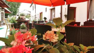 Hotel Zum Löwen - Mörfelden-Walldorf - 4