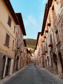 Palazzo Elisei - 4