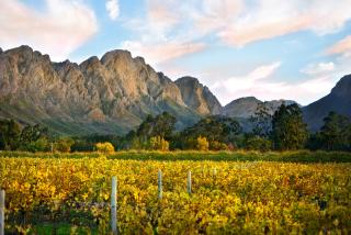 Cape Dutch @ Keerweder - Franschhoek - 4