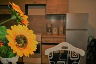Casa Peterfi - Apartment with 3 Bedrooms and Spacious Living Room - Târgu-Mureş - 8