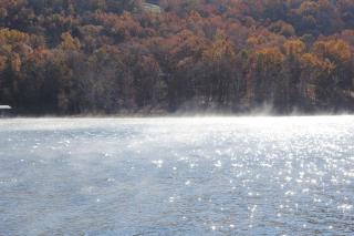 Mill Creek Resort on Table Rock Lake - Lampe - 3