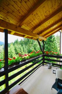 Nature House Predeal - Predeal - 3