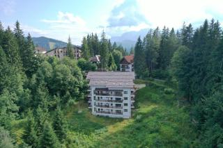 Nature House Predeal - Predeal - 4