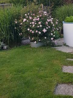 Ferienwohnung am Thayatalradweg - 7