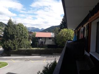 les rosiers n°2 - Les Gets - 5