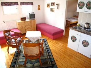 Villa Blanka - Horní Podkozí - 5