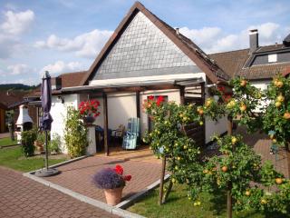 Ferienhaus-Pahl-in-Wolfshagen - 0