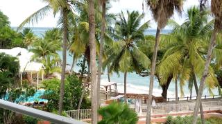 Grand studio les pieds dans l'eau, centre ville - Le Gosier - 9