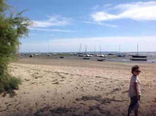 Appart Terrasse Végétale bord Plages bassin - Arès - 2