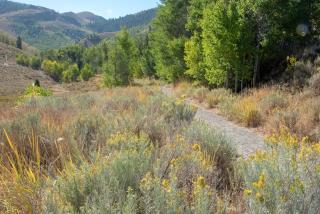 Atelier 1015 - Sun Valley - 6