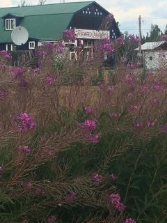 FireWeed RoadHouse - Nenana - 3