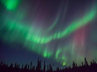 FireWeed RoadHouse - Nenana - 8
