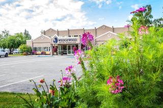 Wedgewood Resort - 0