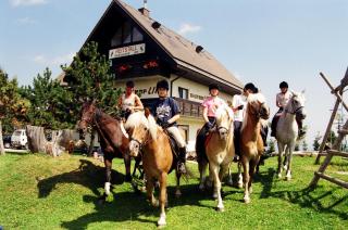 Sportgasthof Lipp - Lederwinkel - 4