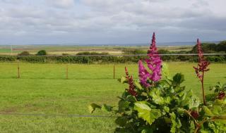 Lilly's Lodges Orkney Hedgehog Lodge - Finstown - 5