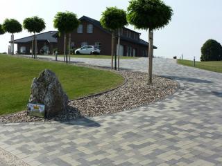 Deichkrone-Rees - Rees - 0