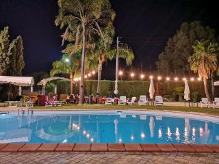 Hotel ausonia - 2