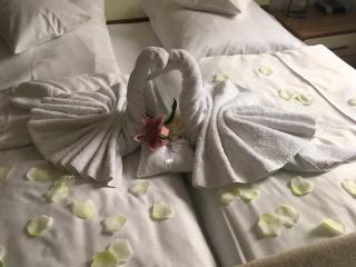 Hotel am Hof - Taufkirchen - 8