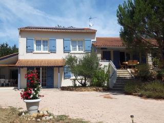Gîte ma vie là avec jacuzzi privatif - Saint-Julien-de-Cassagnas - 7
