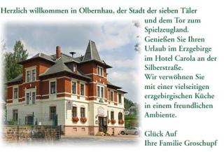 Hotel Carola - Olbernhau - 9