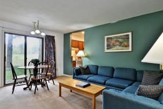 Cedarbrook Queen Suite 103 - Killington - 0