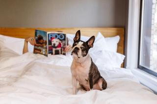 Hotel Max - Seattle - 5