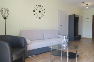 LuxApartament 1 - z widokiem i garażem w nowym Zeta Park - Ustroń - 8