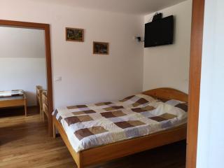Apartments Trebušak - Laze v Tuhinju - 7