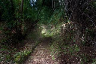 Bordemundo B&B y Cabañas - 4