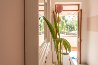 B&B Posidonia - Castellabate - 1