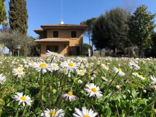 Jenny's Country Dreamhouse - Arezzo - 2