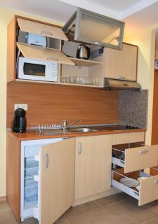 Studio Villa Park Premium - Borovets - 1