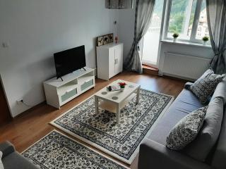 Lidia's Apartment - Sinaia - 1