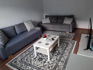 Lidia's Apartment - Sinaia - 2