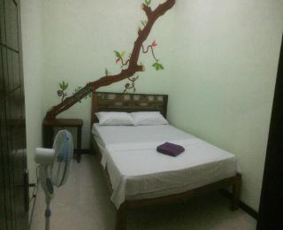 Diana's Homestay - Banyuwangi - 3
